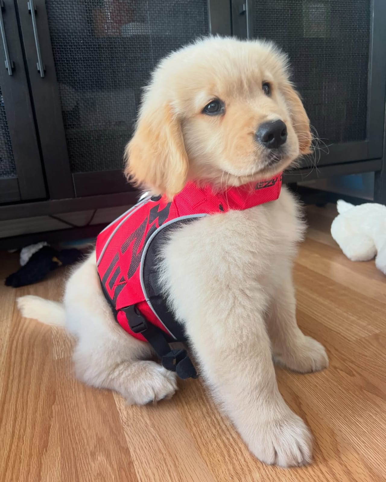  Coco