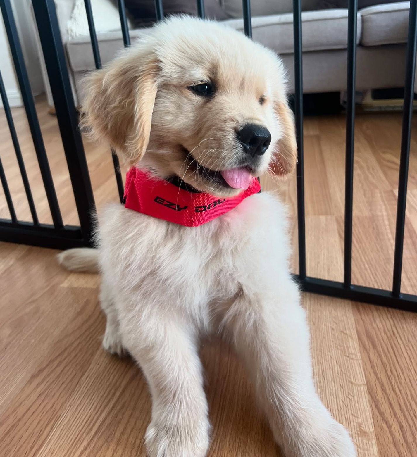 FIONA